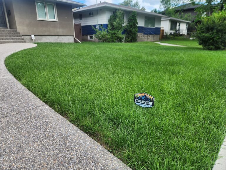 Chinch Bug Control Calgary | Professional Chinch Bug Treatment- 3