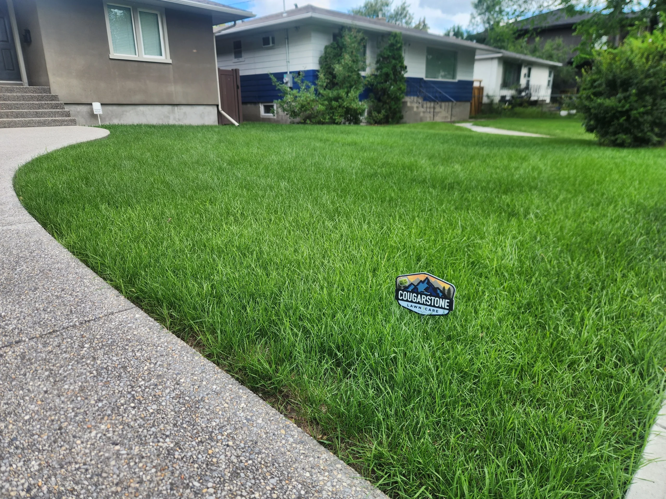 Fall lawn care in Calgary — preparing your lawn before winter to reduce vole damage