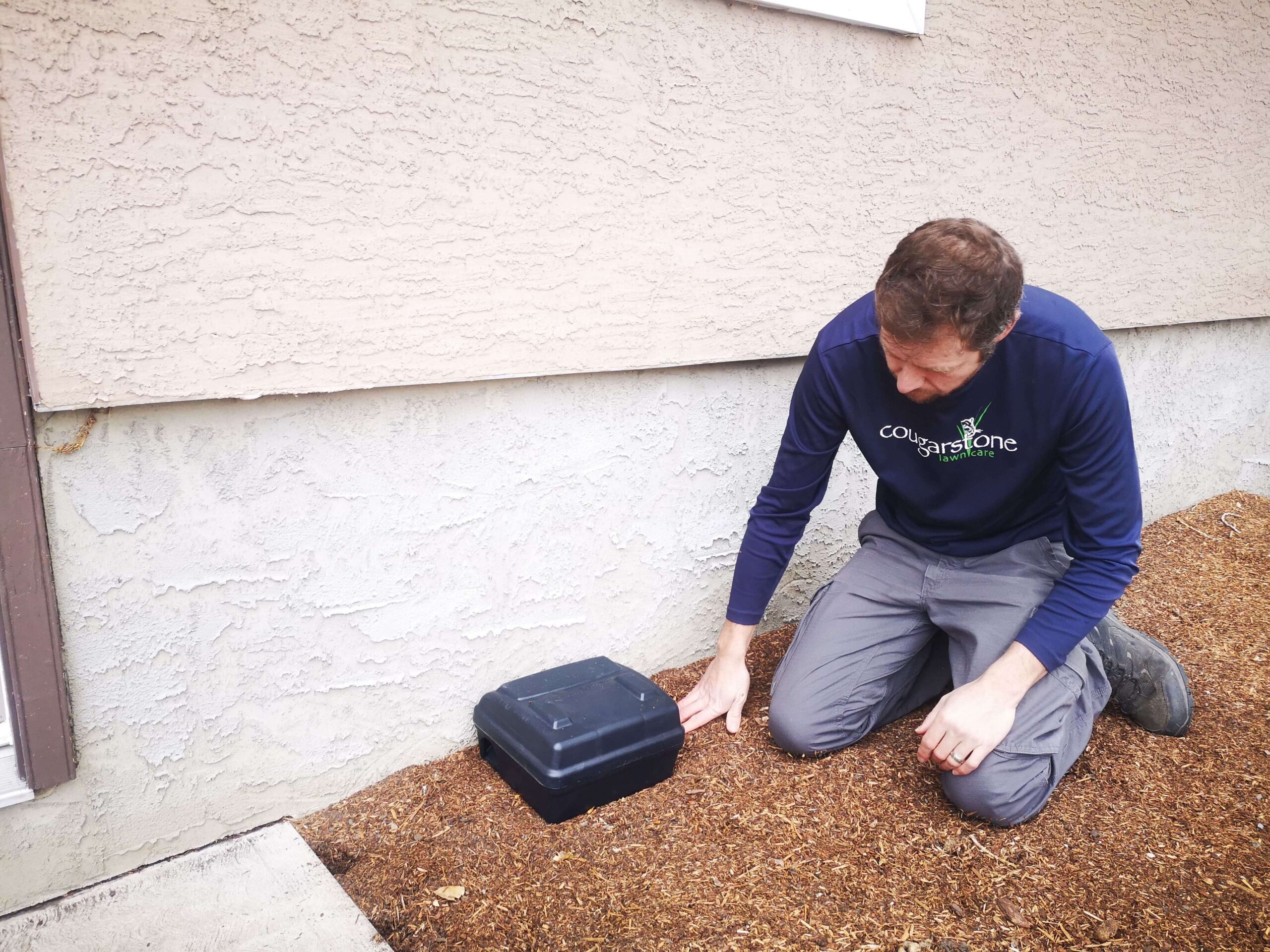 Cougarstone technician on a vole control visit