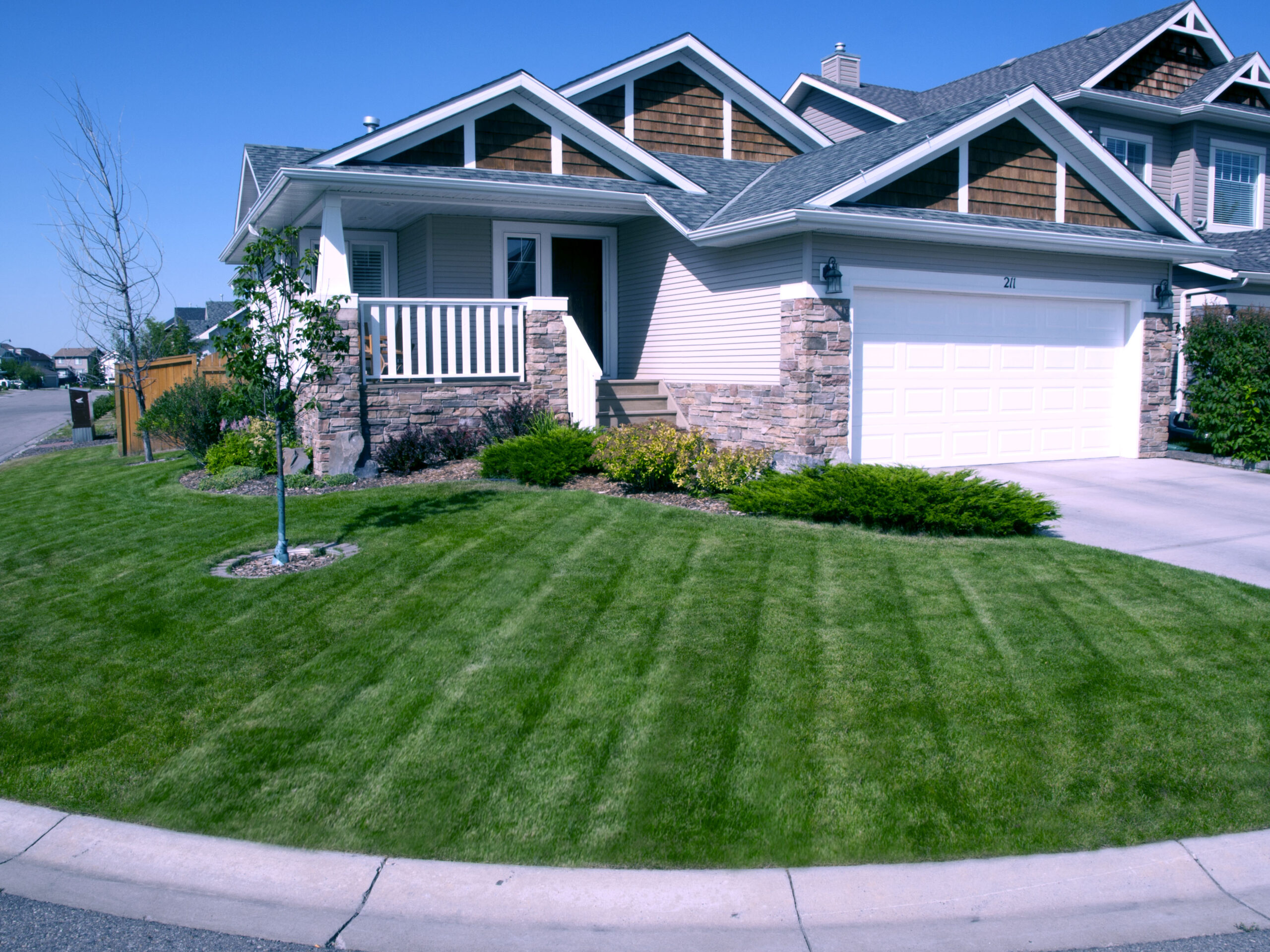 Healthy green Calgary lawn after professional weed control treatment