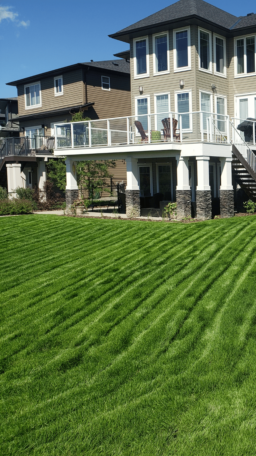 Lush green Calgary lawn after professional Cougarstone fertilizer treatment